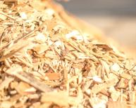 Energie Dotzigen News